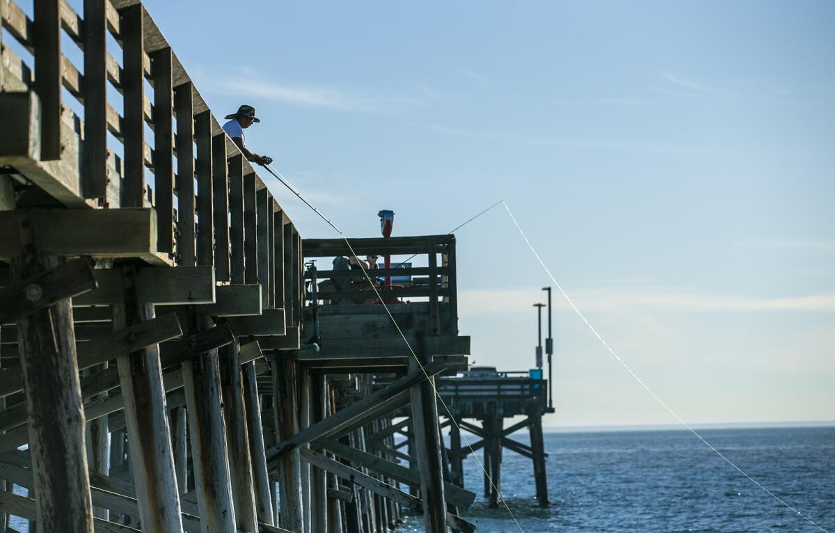 A fisherman fishes off the Balboa Pier on a balmy November day.