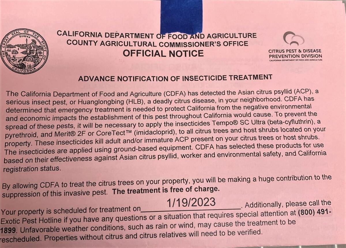 Dept. of Food and Agriculture staff are notifying some Costa Mesans about insects and bacteria that could harm citrus trees.