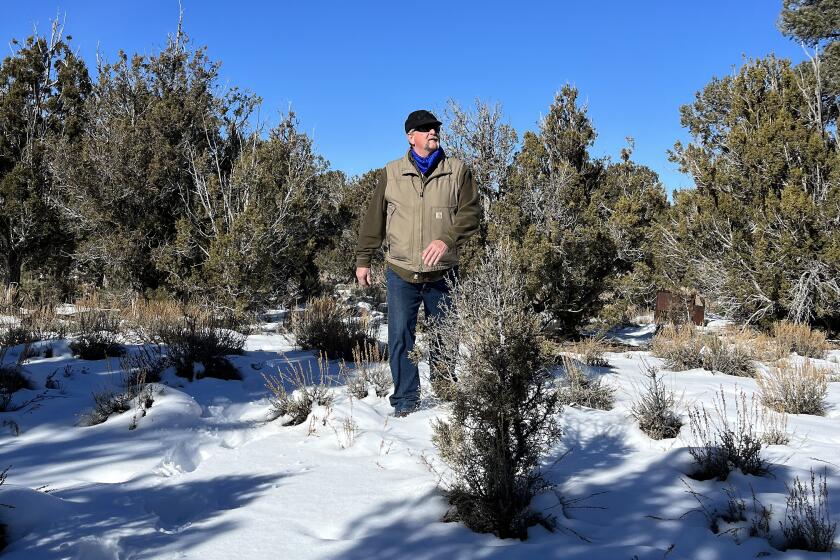 Lincoln County Commissioner Varlin Bigbee is walking through dense pinyon-juniper woodlands that may be harvested as feedstock to make methanol, an additive used to reduce greenhouse gas emissions of container ships calling at Los Angeles ports.