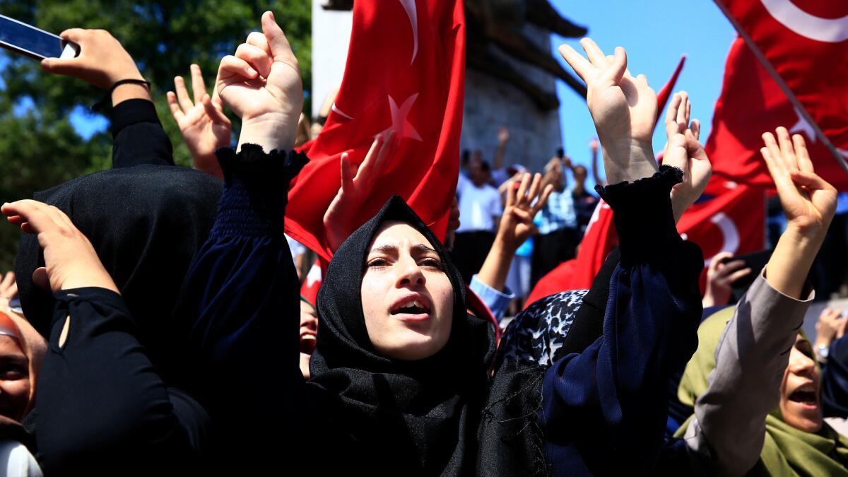 Pro-Turkey government supporters in Istanbul chant slogans and wave Turkish flags as they demonstrate against last week's attempted coup.
