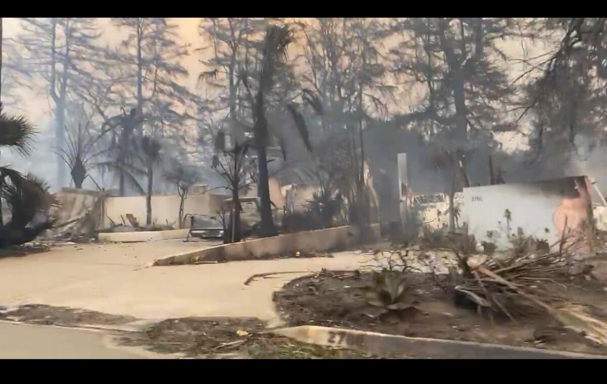 Evan Dresman and Laura Begley's Gregory Ain-designed home was destroyed in the Eaton Fire.