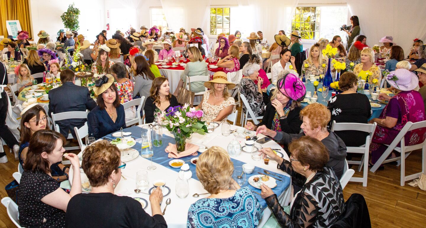 Attendees at the PBWC High Tea.