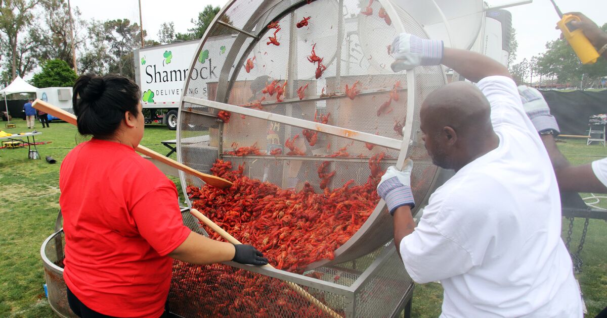 'Enjoying the destination' Crawfish Festival returns to Fountain