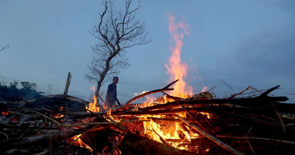 Podcast: The next pandemic is already lurking Podcast: The next pandemic is already lurking