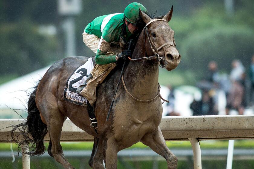 Exaggerator, with Kent Desormeaux aboard, wins the Santa Anita Derby on a muddy track, just like he did as the Preakness Stakes on May 21.