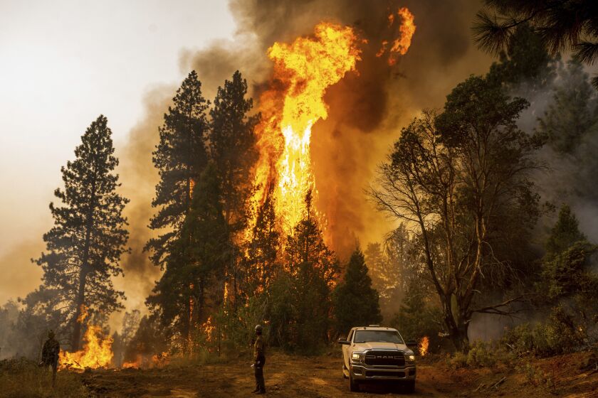 A firefighter displays a backfire, flames lit by fire crews to burn off vegetation, whereas struggling with the Mosquito Fire within the Volcanoville community of El Dorado County, Calif., on Friday, Sept. 9, 2022. (AP Photo/Noah Berger)  Chickpea And Noodle Soup With Persian Herbs  url https 3A 2F 2Fcalifornia times brightspot