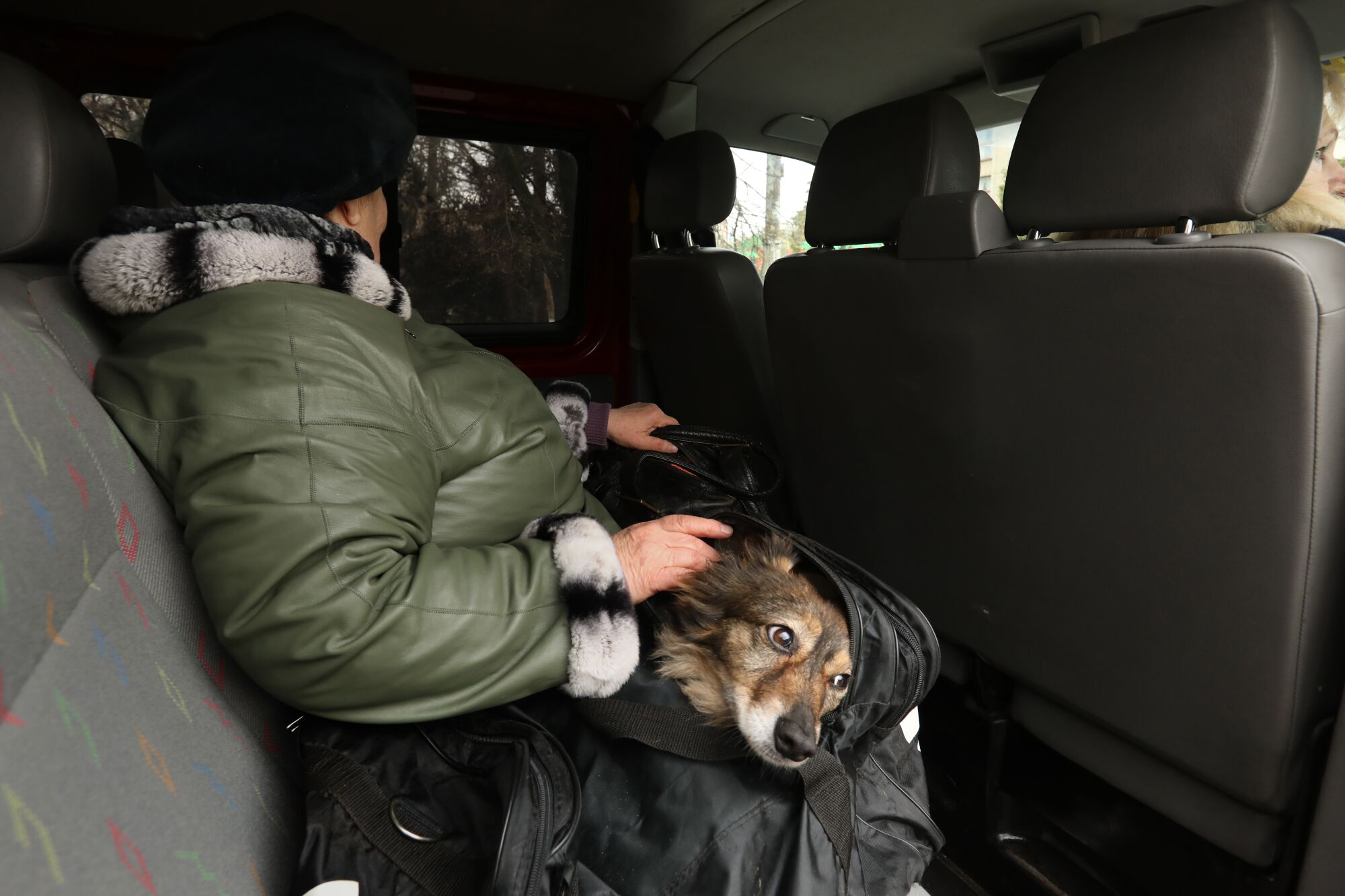 A woman leaves Slavyansk with her dog in a duffle bag.