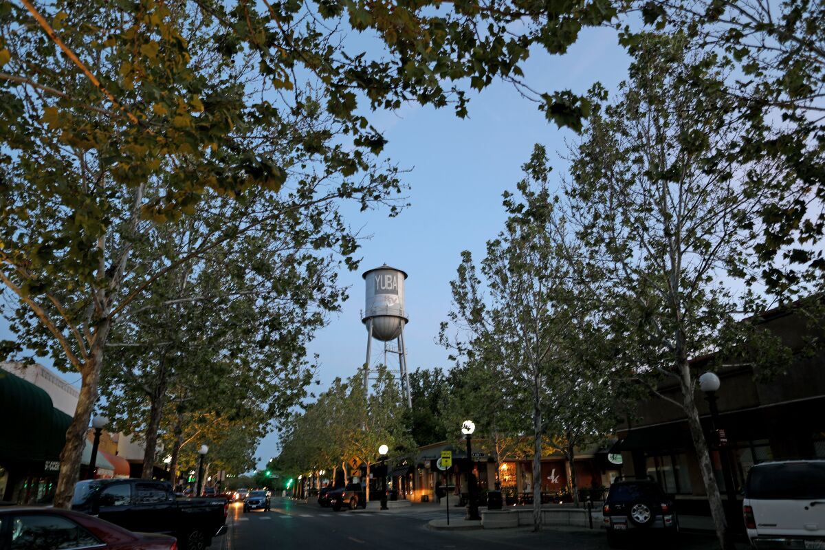 A water tower is seen through trees bordering a street 