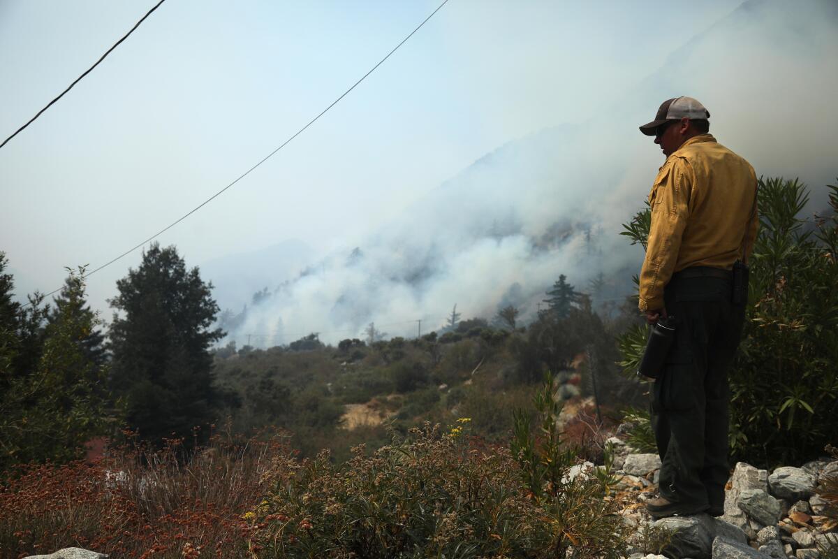 A man keeps a watchful eye on remnants of the Bridge fire in Mt. Baldy.