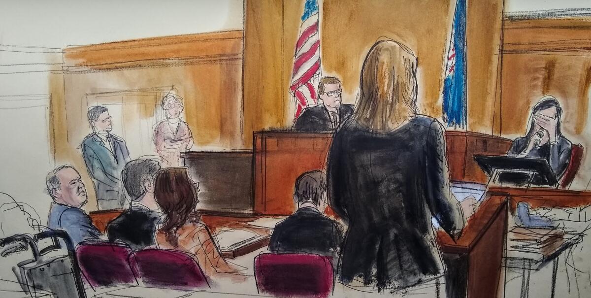 In a courtroom sketch, a female witness weeps