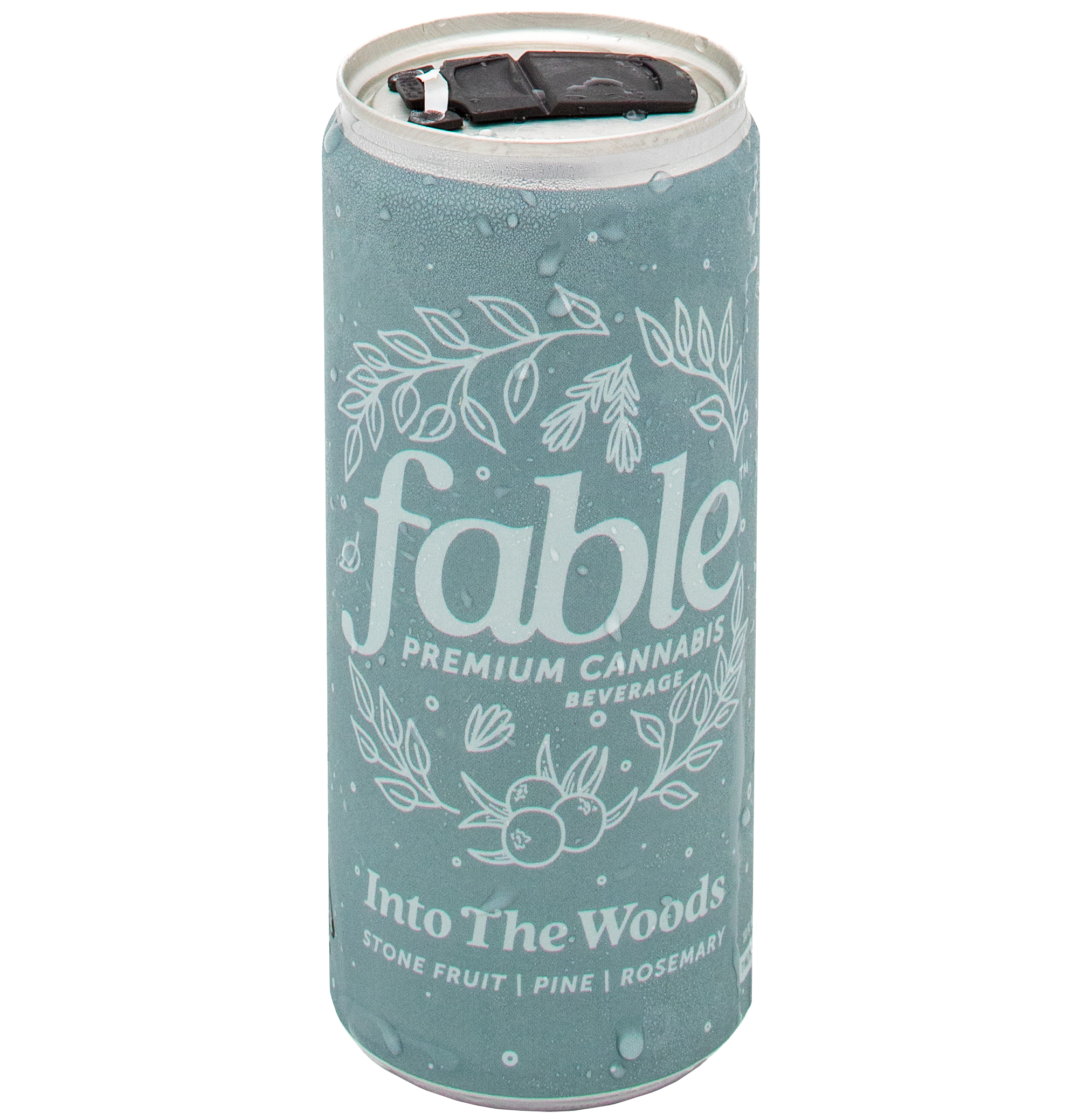 A can of Fable's Into the Woods THC-infused beverage