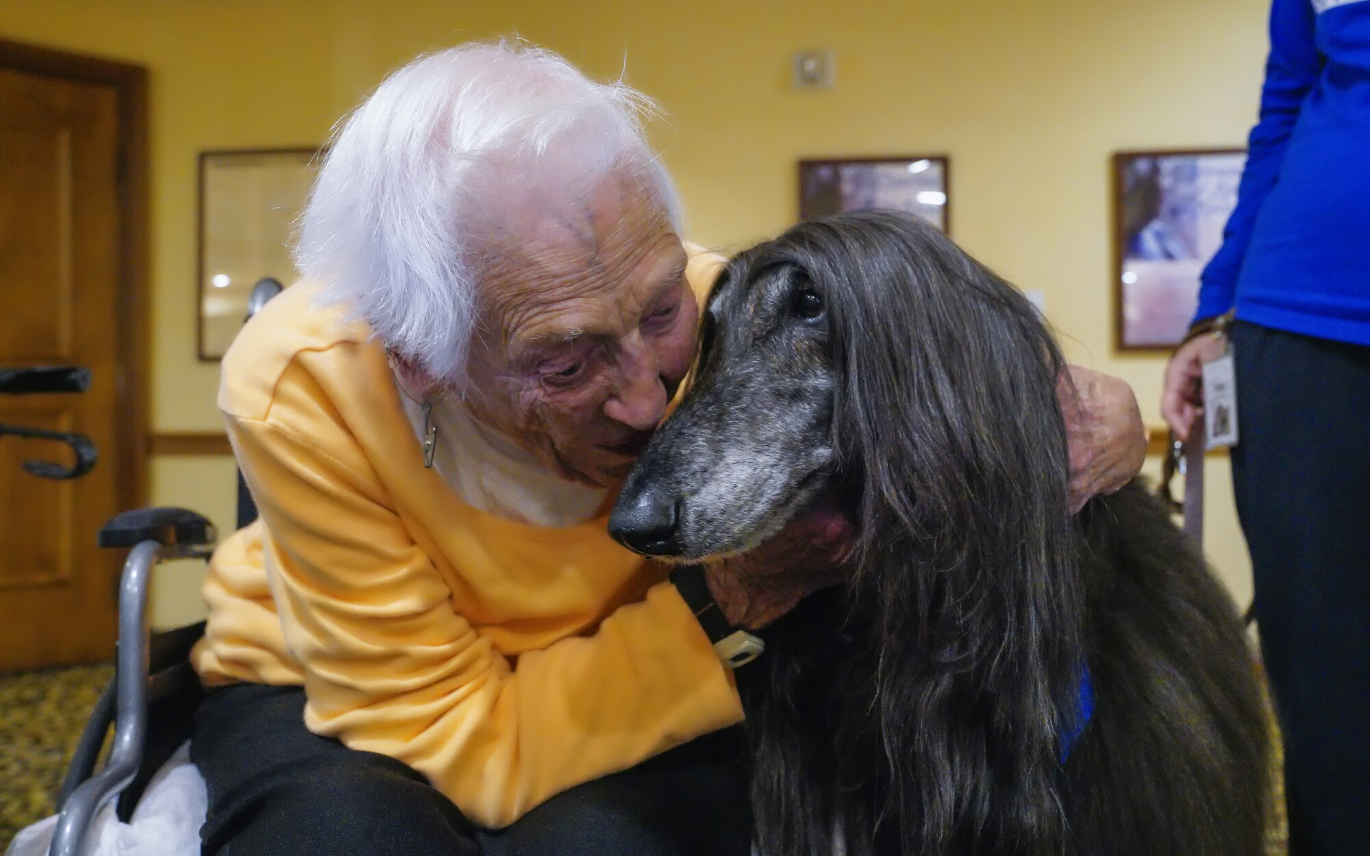 When Pet Love Comes To Seniors Everybody S Tail Wags Los when pet love comes to seniors