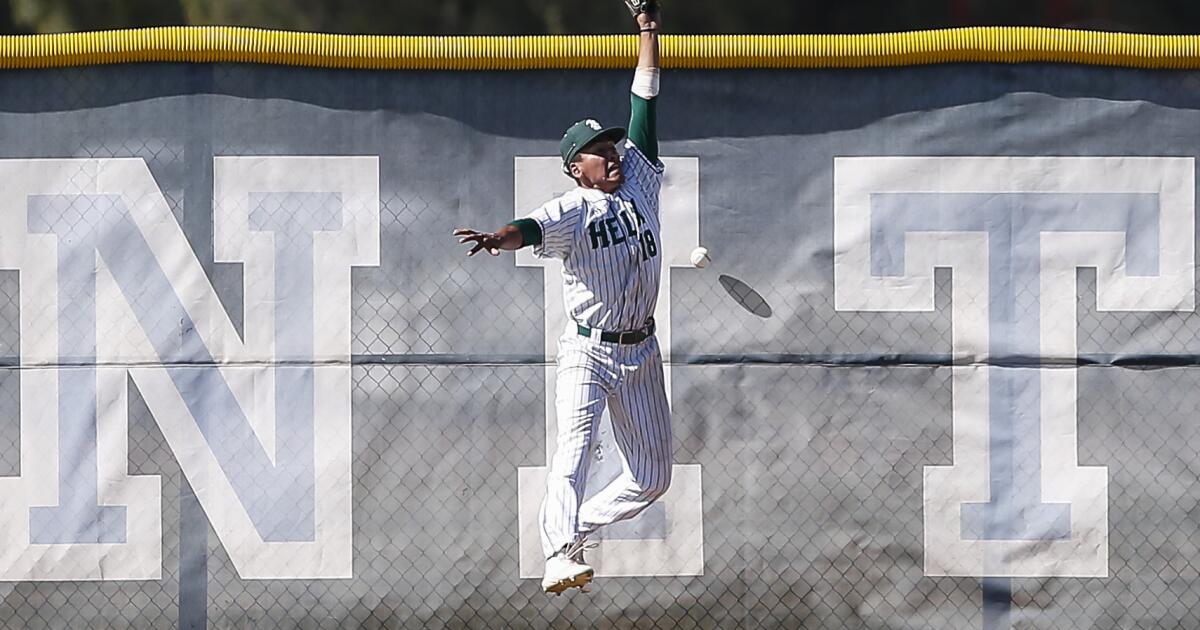 Annual Lions baseball tournament gets underway