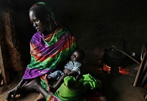 Darfur village springs back to life