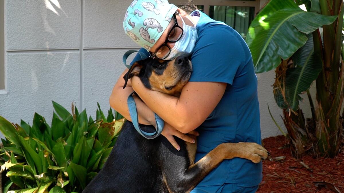 A veterinary technician hugs a dog.