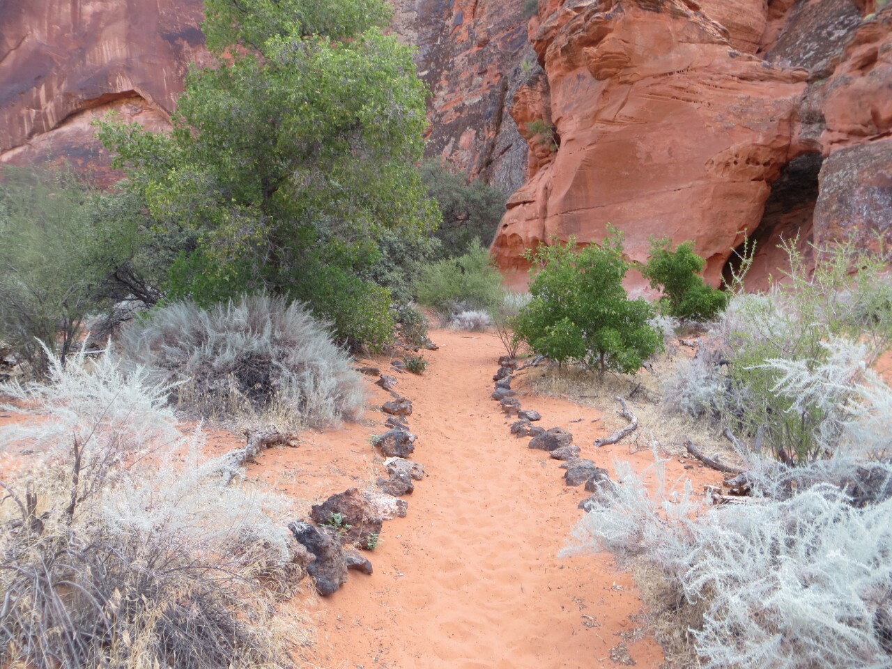 Sage and other desert flora provide fragrant aromas on a hike in Snow Canyon State Park.