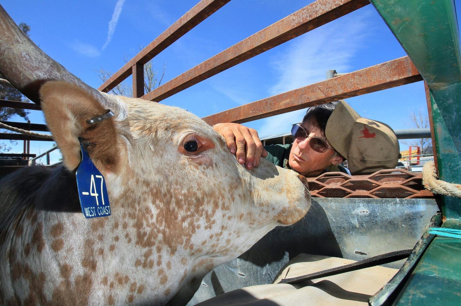 The Snorting Bull: A Fine Player From The Bull City