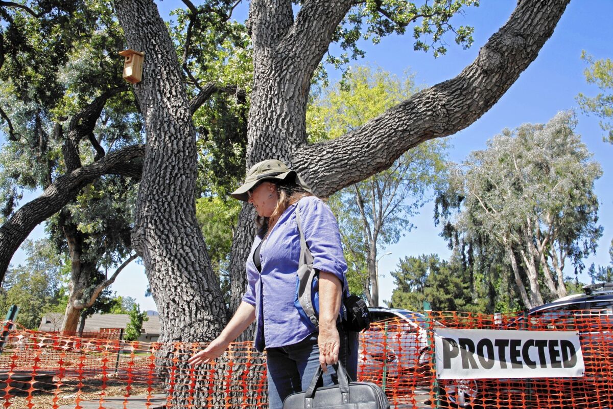 Thousand Oaks arborist Yvonne Brockwell says she and others had assumed the 170-plus trees that were felled for redevelopment were protected by law.