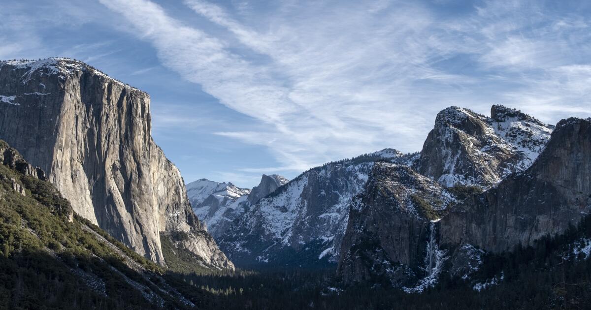 Kara ayılar da Half Dome'u ölçeklendiriyor: Buluşursanız ne yapmalısınız?