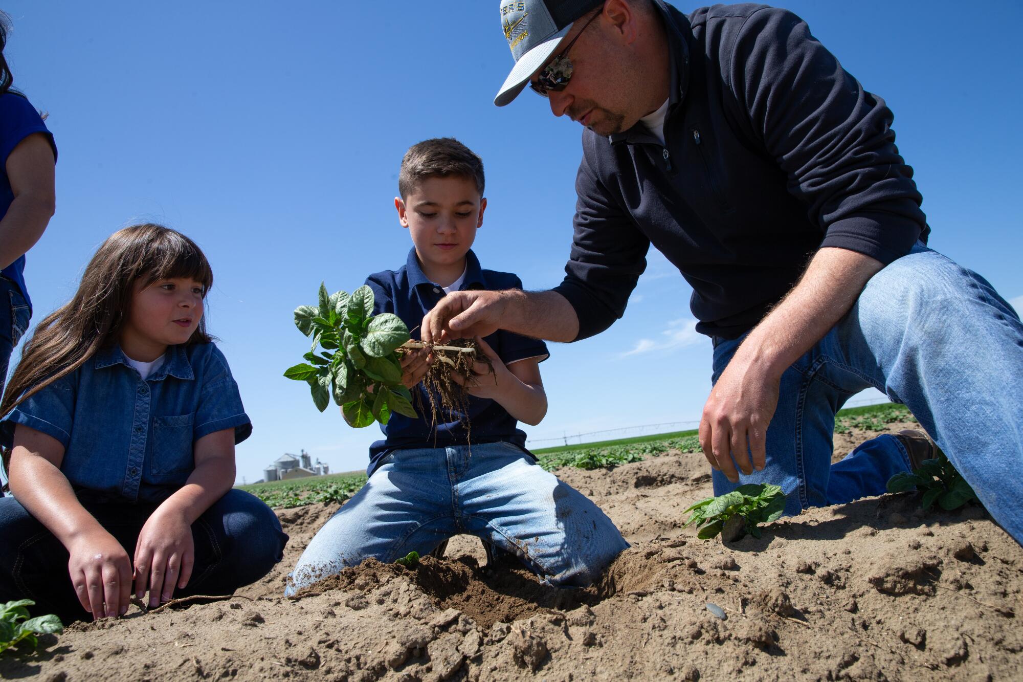 Farmer Jordan Reed, shows his children Addison, left, and Owen how to check the moisture in the soil of a young potato plant in a neighbor's field in Pasco, Wash.