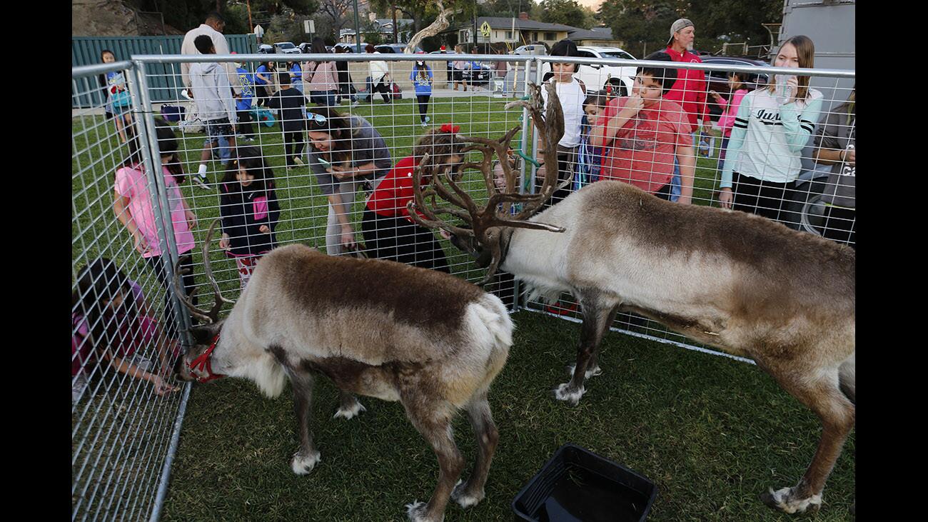 Photo Gallery: Annual Festival in Lights at Memorial Park