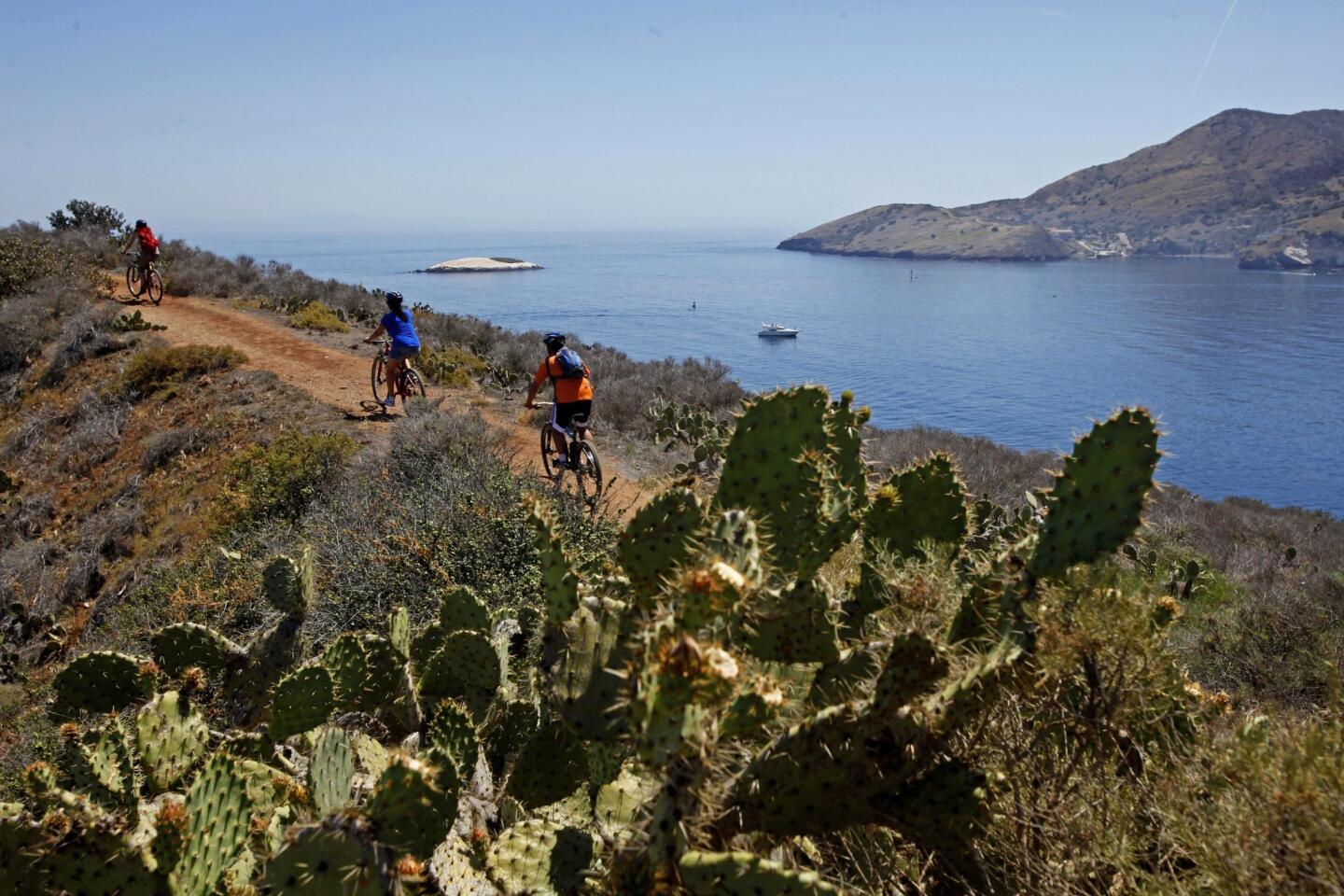 Biking Catalina Island's interior