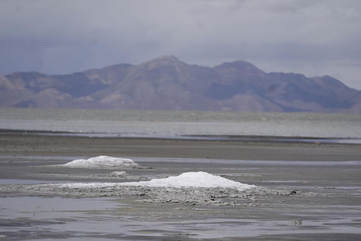Montículos de mirabilita en el Gran Lago Salado, el 3 de mayo de 2022, cerca de Salt Lake City, Utah.