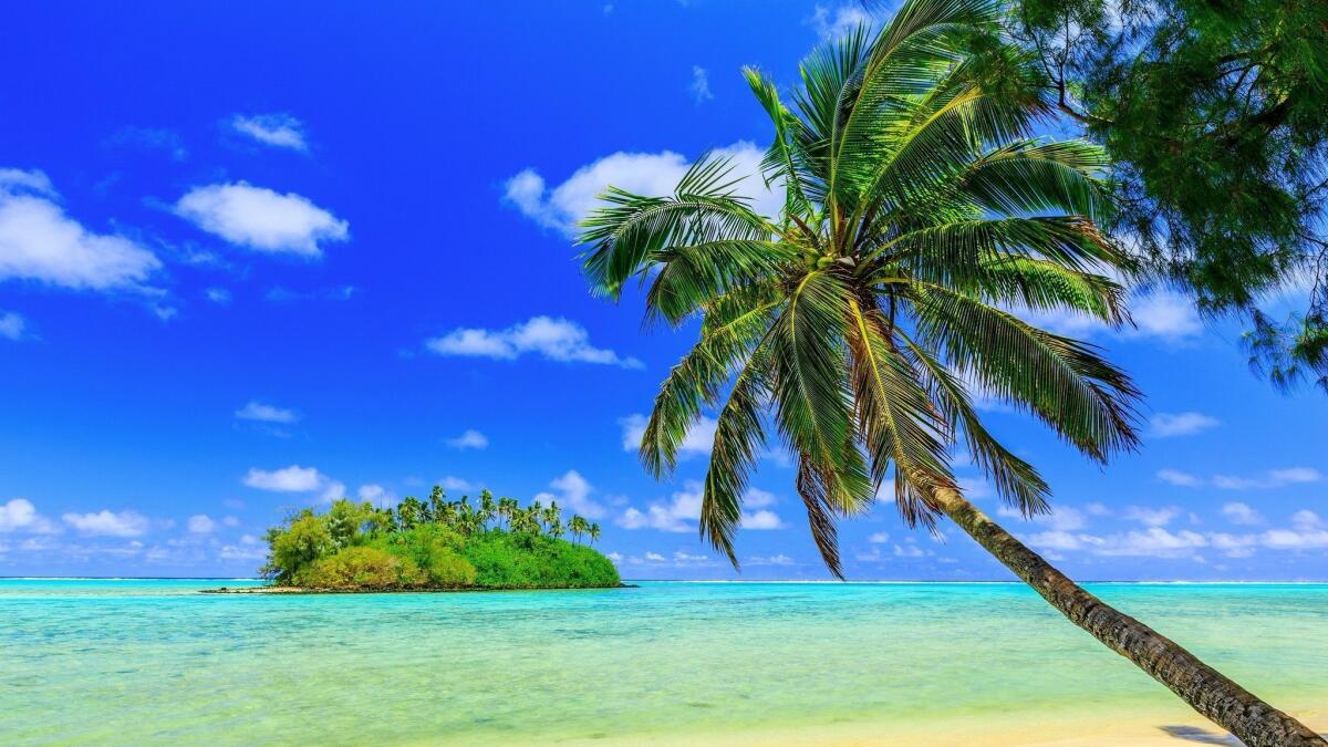 You can fly round-trip on Air New Zealand from LAX to the Cook Islands for $593.