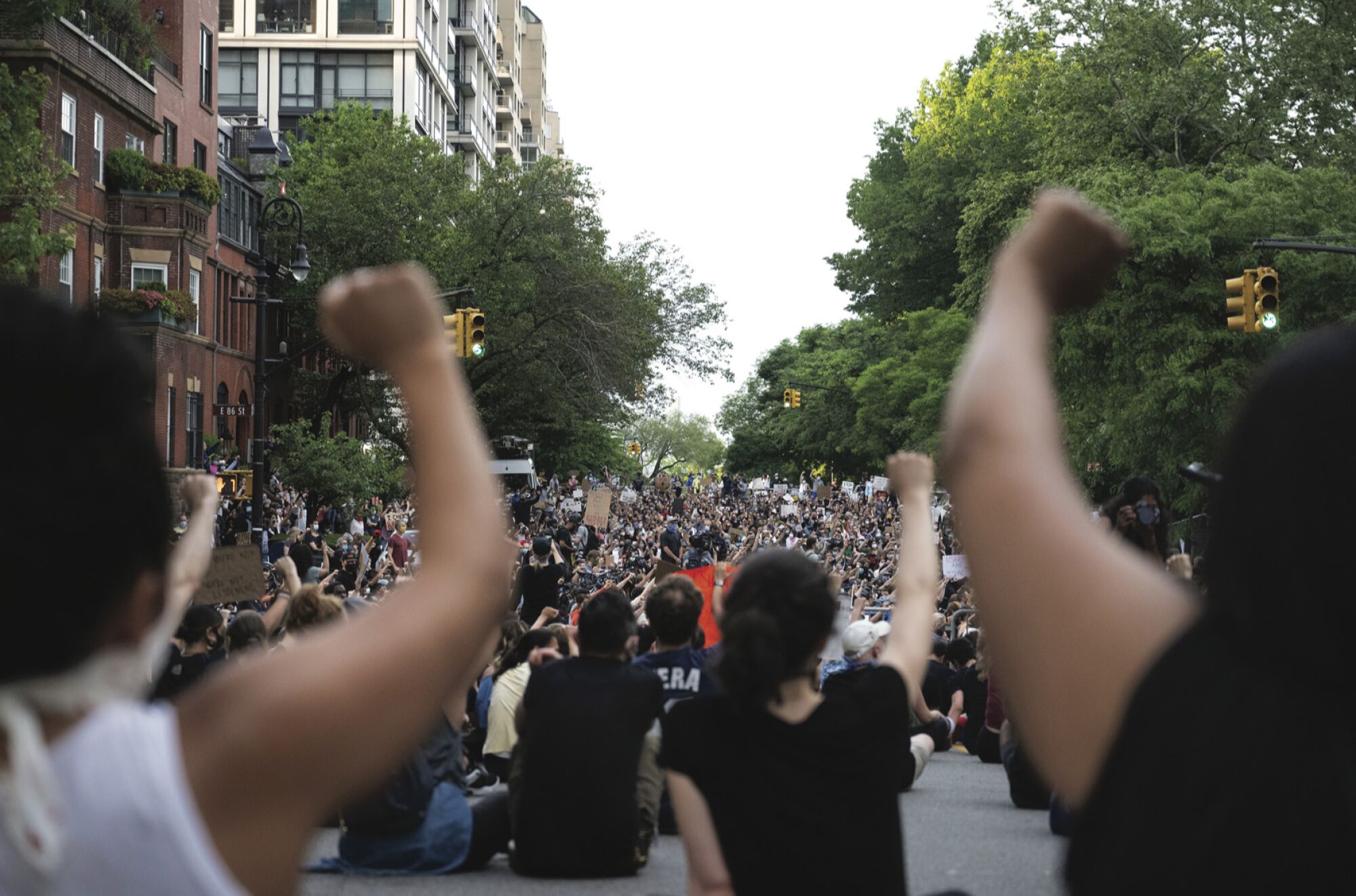 A photograph of a crowd of protesters from behind.