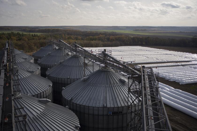 An overhead view of silos at a grain handling and storage facility in central Ukraine, Friday, Nov. 10, 2023. In recent months, an increasing amount of grain has been unloaded from overcrowded silos and is heading to ports on the Black Sea, set to traverse a fledgling shipping corridor launched after Russia pulled out of a U.N.-brokered agreement this summer that allowed food to flow safely from Ukraine during the war. (AP Photo/Hanna Arhirova)