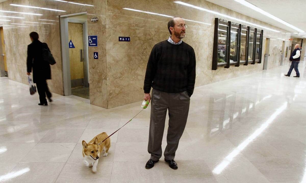 Steve Glazer walks Gov. Jerry Brown's Corgi, Sutter, through the halls of the Capitol in 2011, when Glazer was working as a strategist for Brown.