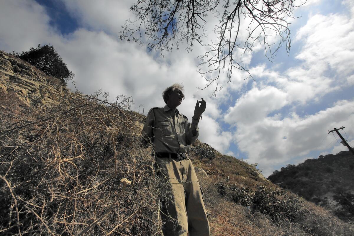 Arnold Newman, a botanist and president of the Oak Forest Canyon Homeowners Assn. in Sherman Oaks, says the canyon has up to 10,000 tumbleweed plants, which pose a fire hazard.