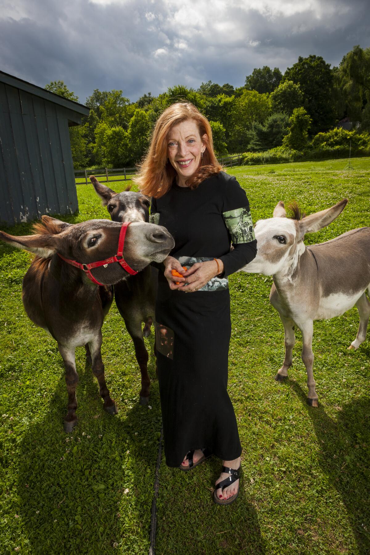 Warwick’s bookstore will present author Susan Orlean on Thursday, Nov. 18, online.