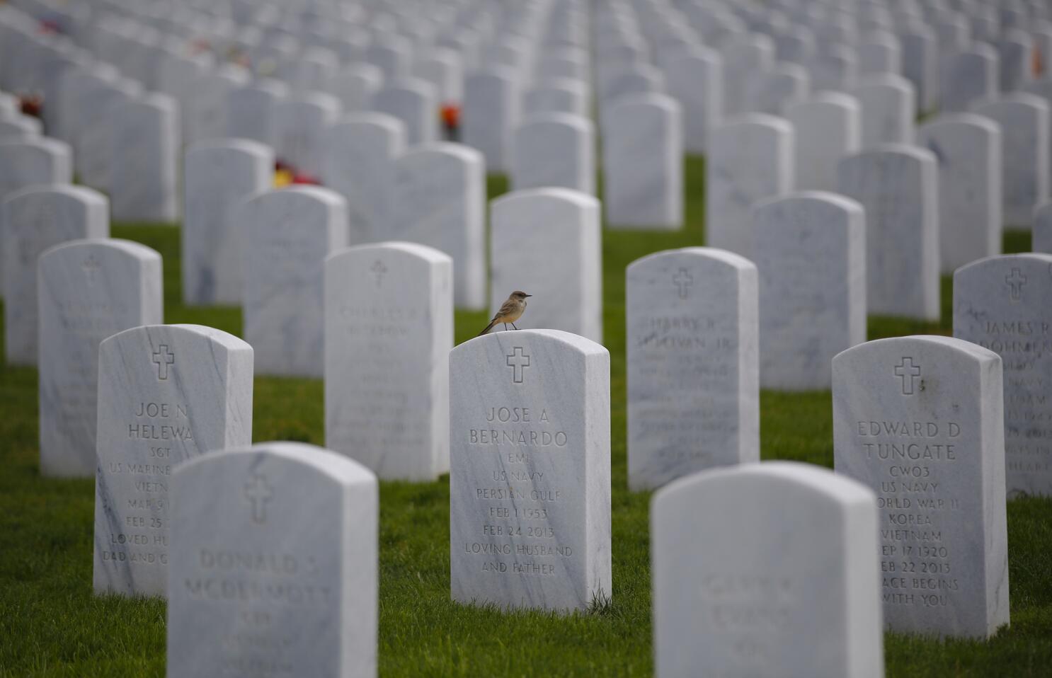 Nonprofit keeps taps Memorial Day tradition alive, Military