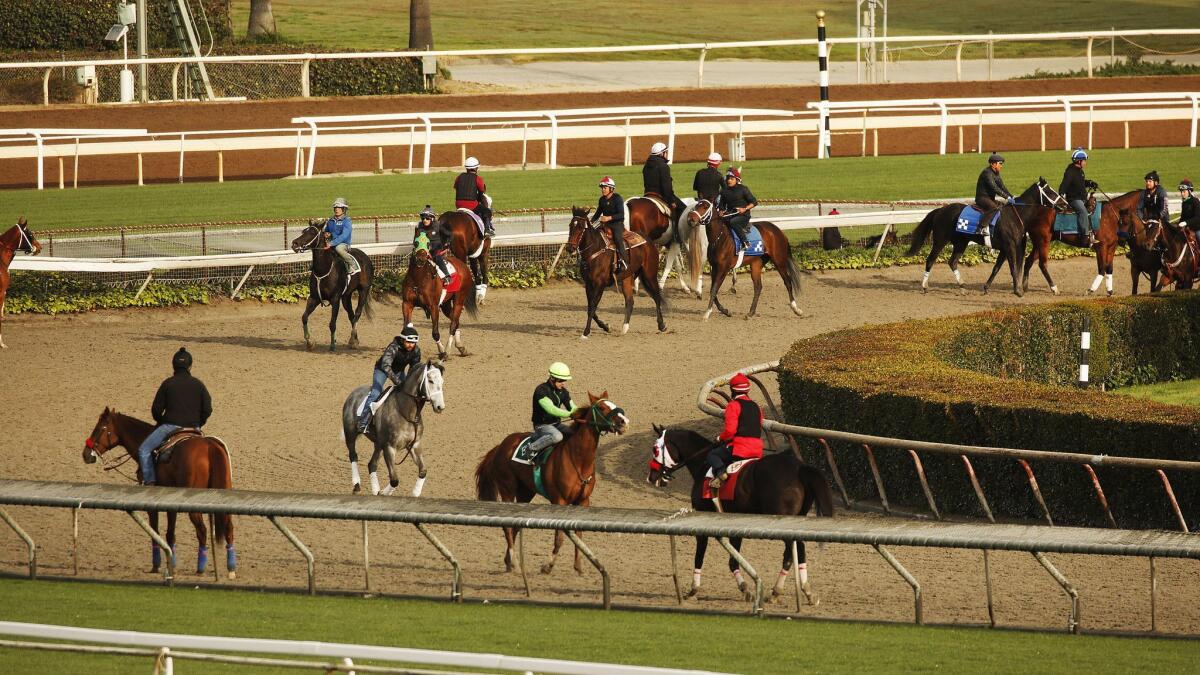 Riders, jockeys and horses train on the Santa Anita Park track in Arcadia, Calif. on March 11.