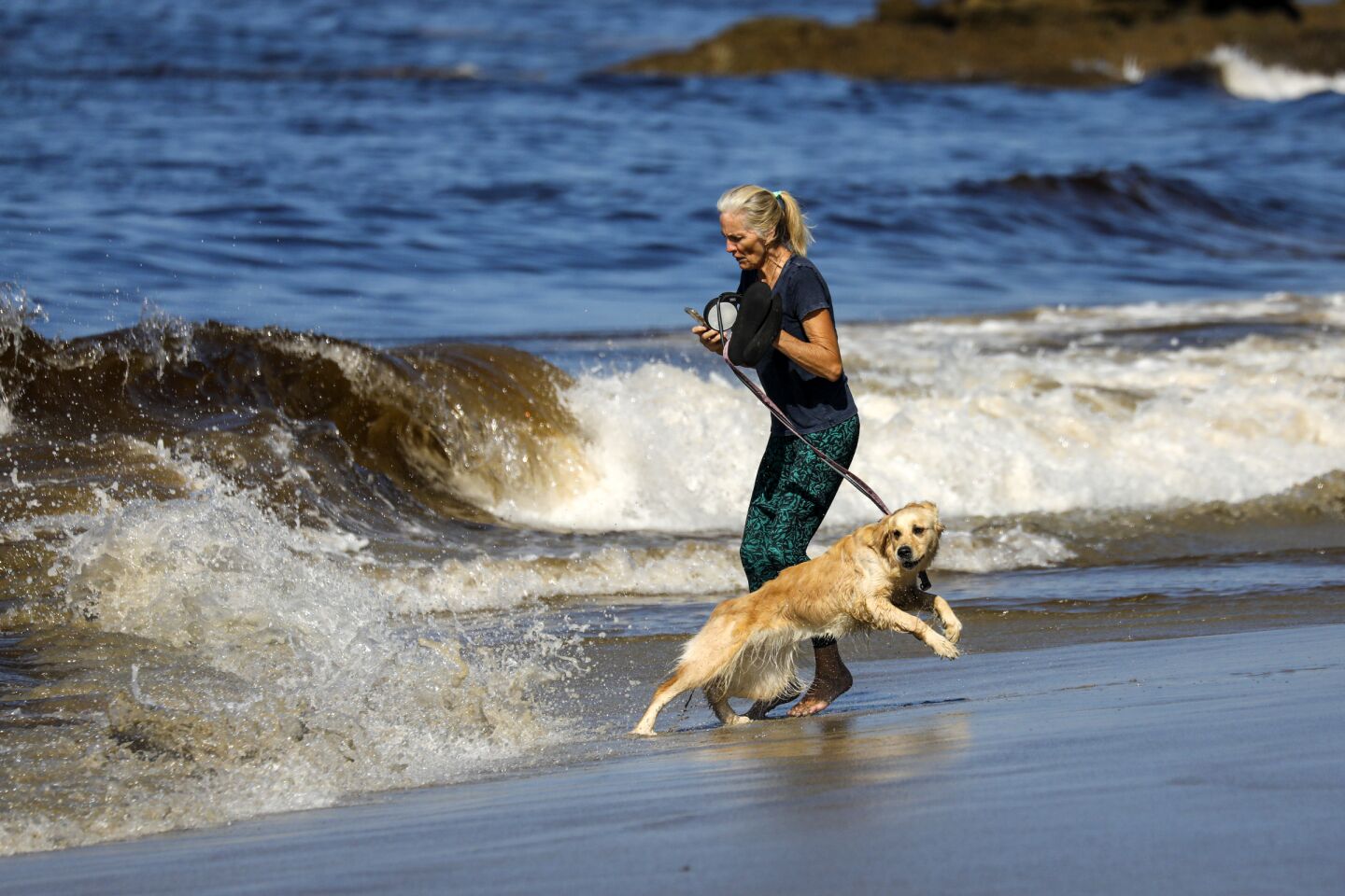 A woman and a dog play at the beach