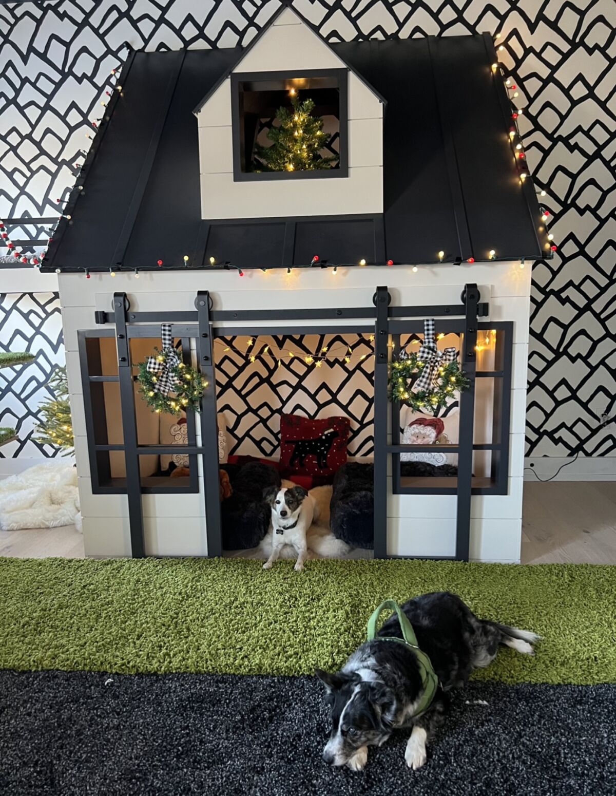 A custom $12,000 pet playhouse for three cats and two dogs.