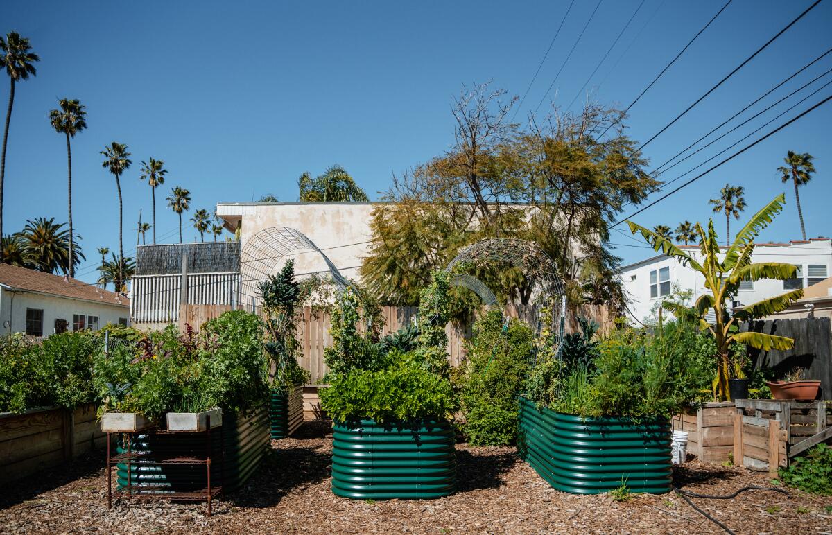 A regenerative garden outside the Plot vegan restaurant in Oceanside.