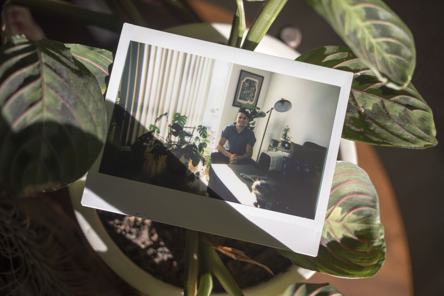 An instant photograph of Anthony Gulino, 33, in his Los Feliz apartment with his plants and cat Lincoln.