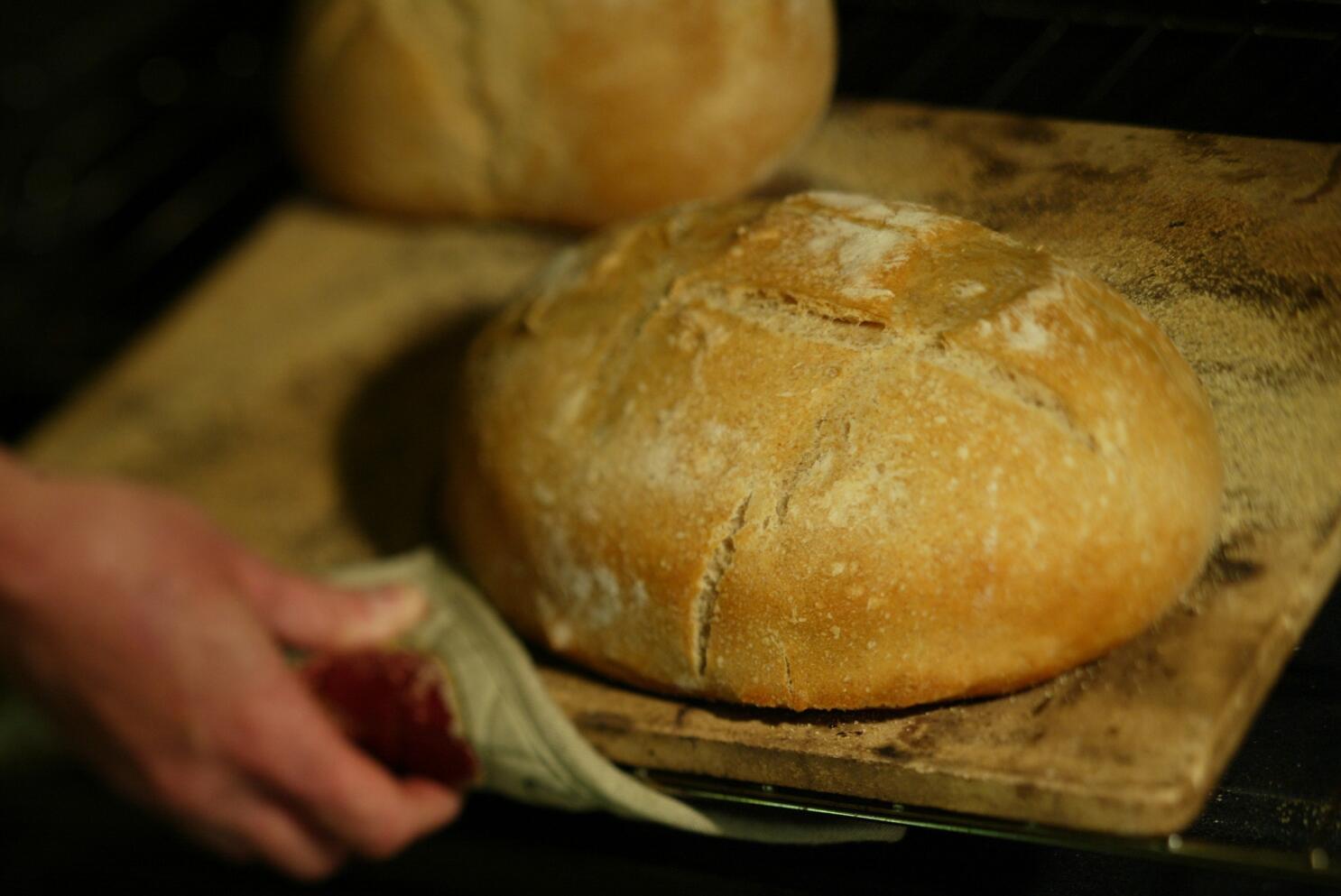 Baking Bread 101 - Equipment - a trEATs affair