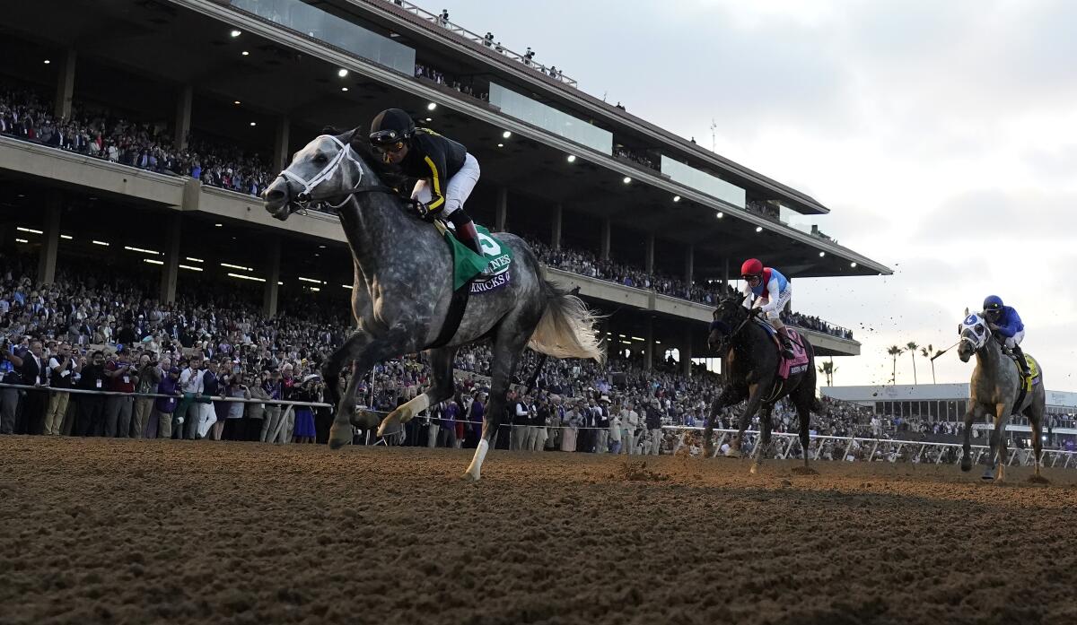 Horses near the finish line in a ground-level view of a race with grandstand in the background at Del Mar