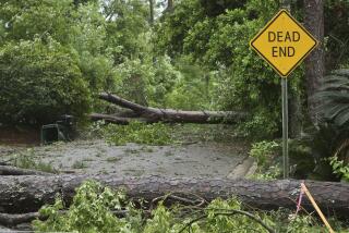 Árboles caídos bloquean una calle en Tallahassee, Florida, el viernes 10 de mayo de 2024. (AP Foto/Phil Sears)