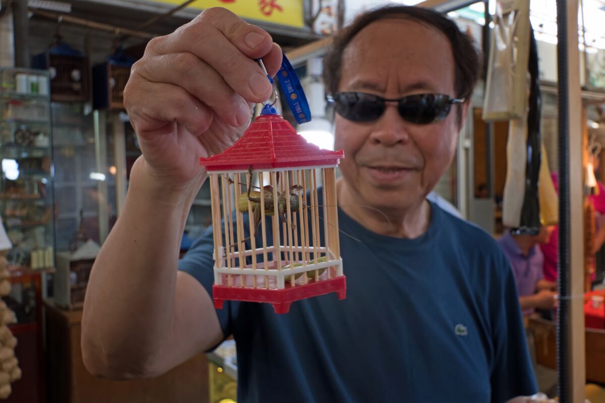 A man holds a caged cricket in Shanghai. Crickets are sold as pets in China.