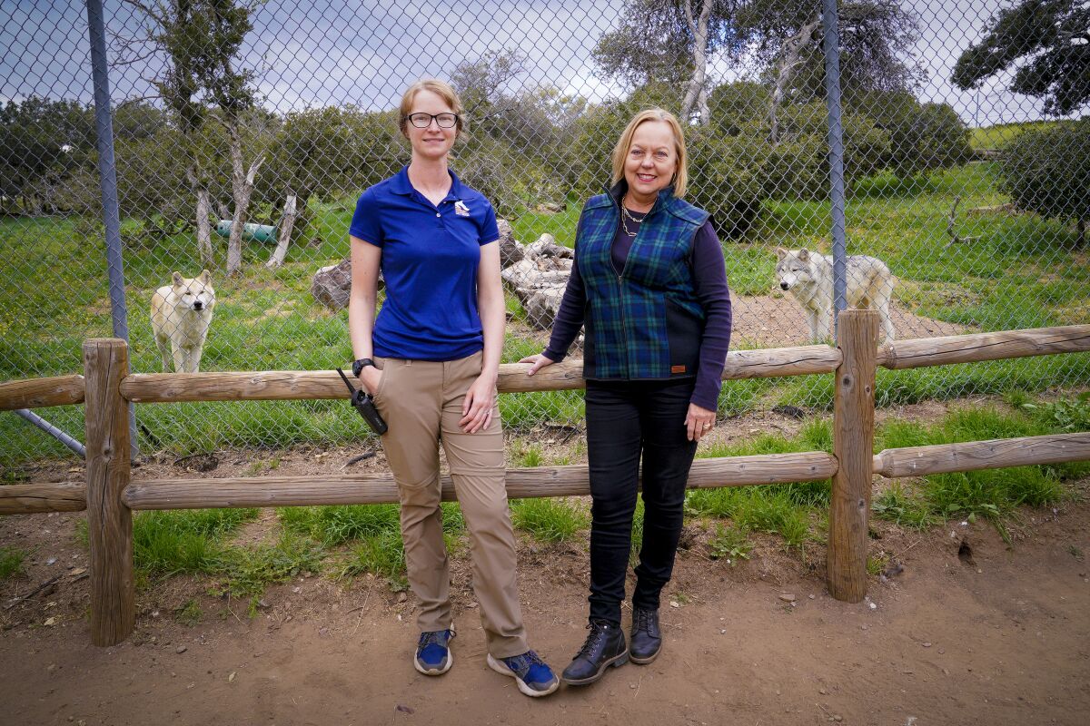 Katie Sindewald (left) and Theresa Kosen shown with two Northwestern gray wolves at the California Wolf Center in Julian.
