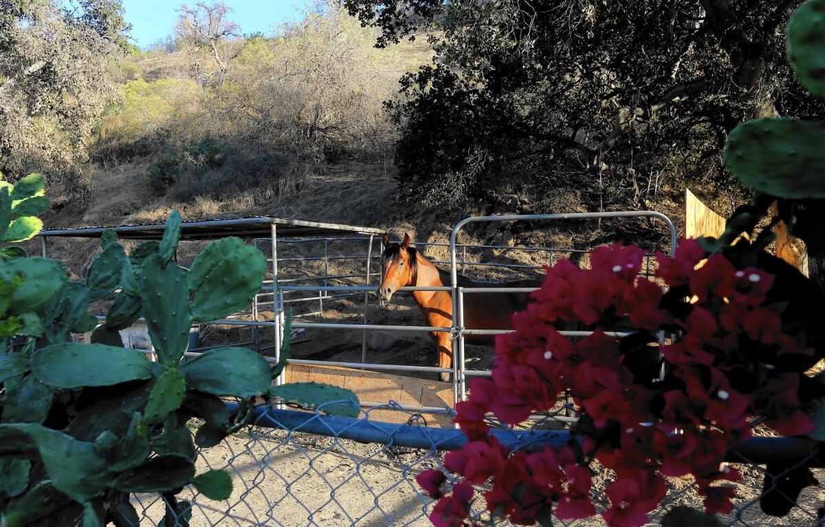 So far, land acquisition has been the biggest cause of delays. The authority owns only a small fraction of the parcels it needs for the 300-mile segment from Burbank to Merced. Above, a property on Wentworth Street in Tujunga, where a tunnel may be dug in the San Gabriels.