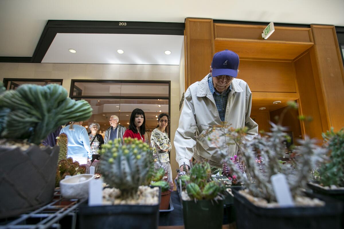  Tom MacElwee looks at a booth for Costa Mesa nursery Mellowist Plantlife at South Coast Plaza Thursday. 