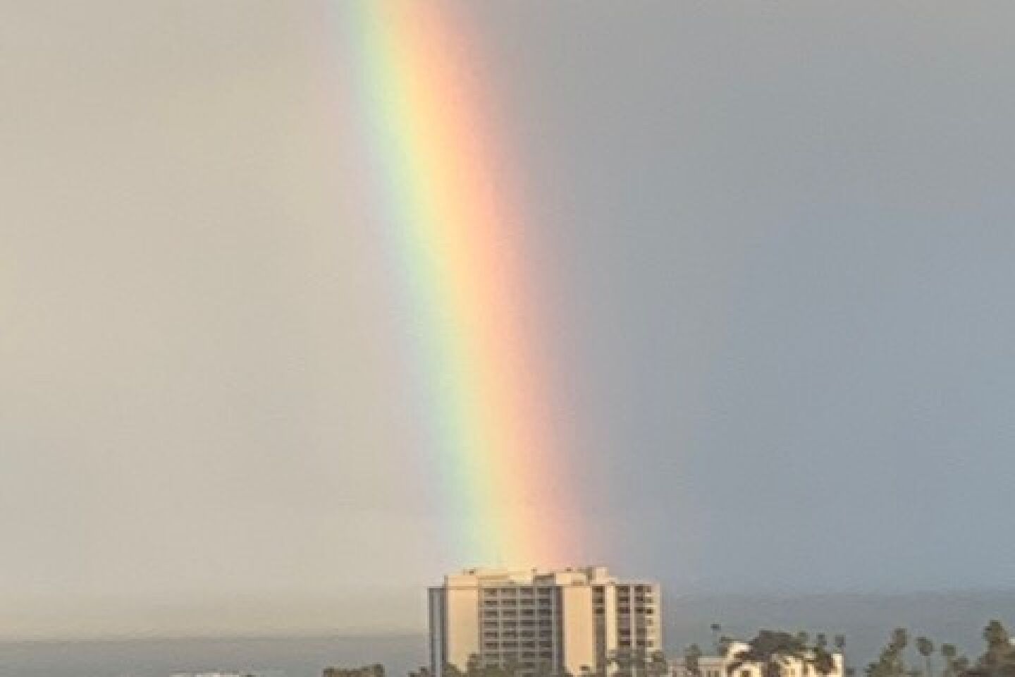 Marguie Bartels - rainbow.jpg