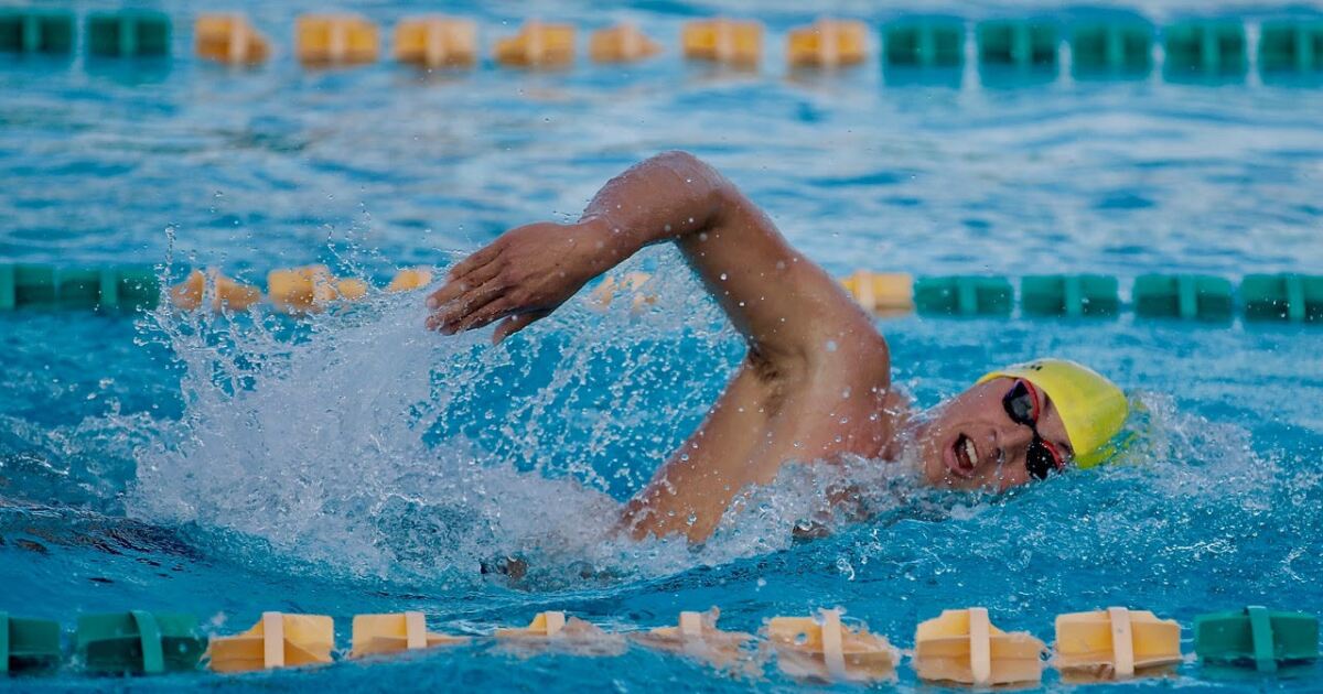 San Pedro et Granada Hills remportent les championnats de natation City Section