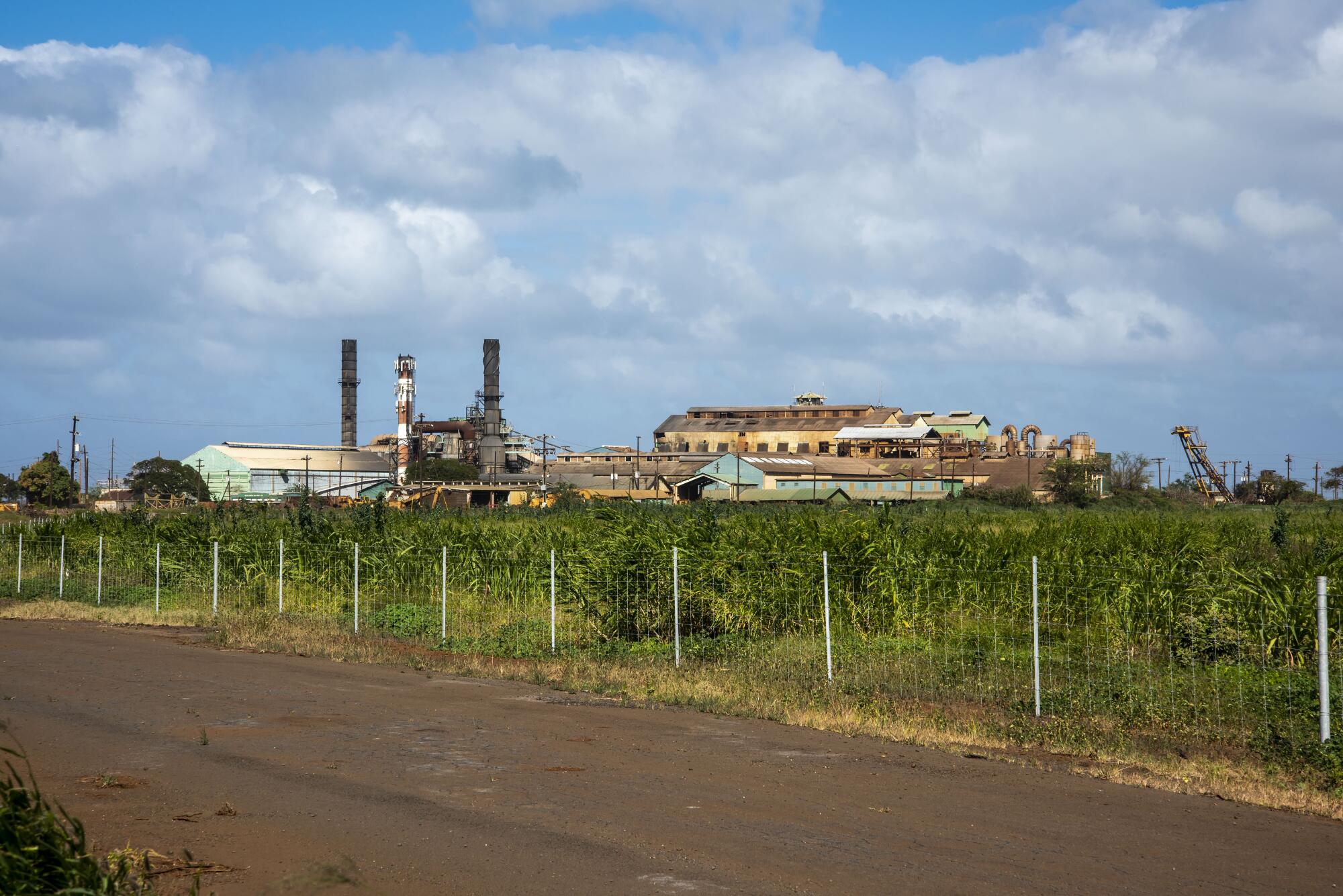 An industrial facility rises behind thick vegetation.