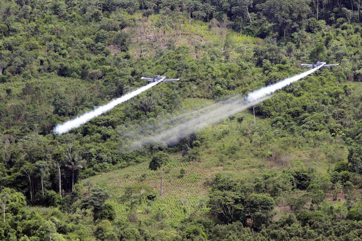 Two planes are seen fumigating coca fields in San Miguel, Colombia, in this December 2006 file photo.